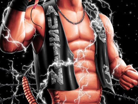 WrestleMania 13: Stone Cold Steve Austin vs Bret Hart Variant Poster Hot on Sale