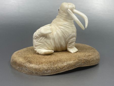 Ivory - D. Pungowiyi; Ivory Walrus on Whalebone Base Online Hot Sale