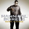 Animal Furnace LP by Hannibal Buress Sale