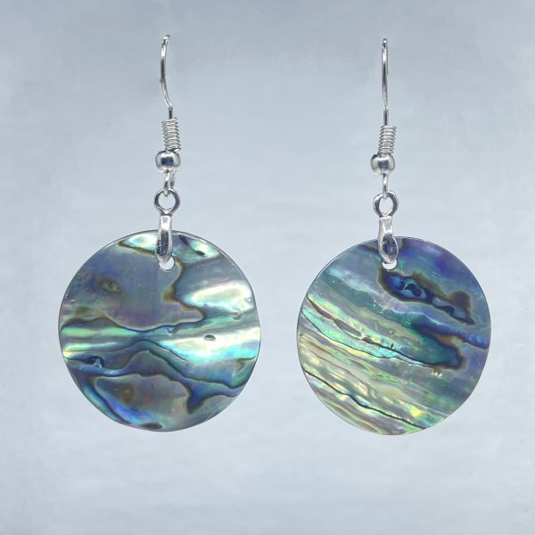 Cedar House 1  Round Abalone Earrings For Sale