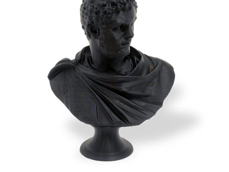 Busto di Caracalla in 3D For Sale