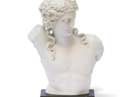 Statua in Marmo del Torso di Dionisio Supply