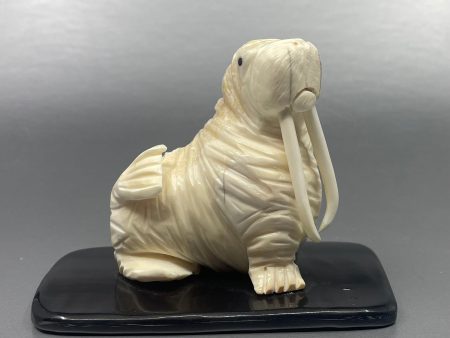 Pungowiyi Walrus on Baleen Online now