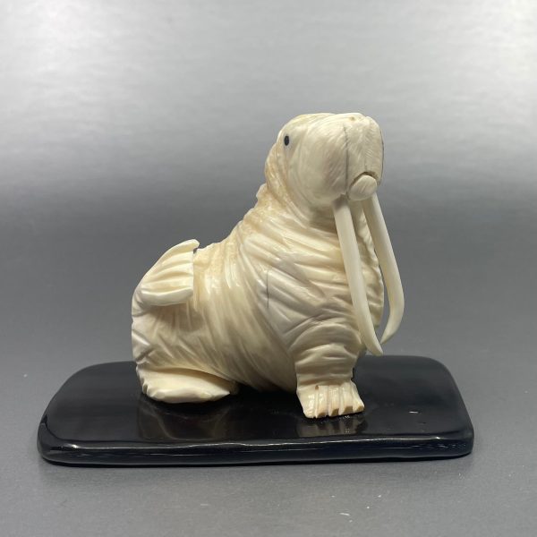 Pungowiyi Walrus on Baleen Online now