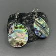 Cedar House 1  Teardrop Abalone Earrings Online Sale