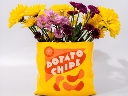 Potato Chips Ceramic Vase Online Sale