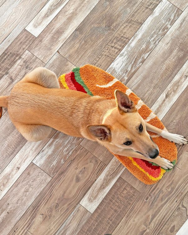 Sandwich Rug Hot on Sale